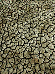 dry lake