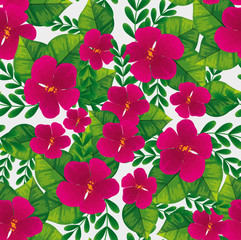 background of cute flowers fuchsia color with branches and leafs vector illustration design