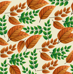 background of branches and leafs naturals vector illustration design