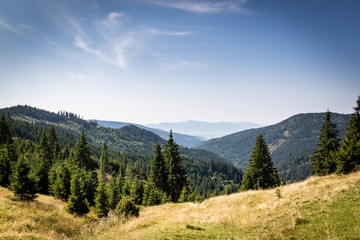 unberührte Natur in Rumänien lädt zum Entspannen ein