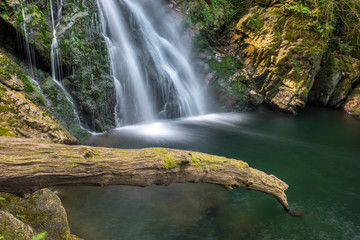 Obraz premium Cascada de agua con tronco en el valle de Baztan (Navarra, España).
