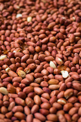 Roasted peanut, groundnut, goober legumes, nut, brown seeds