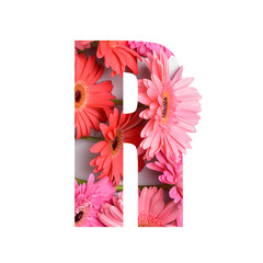 Letter R made of beautiful gerbera flowers on white background