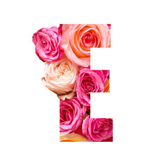 Letter E made of beautiful rose flowers on white background
