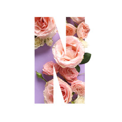 Letter N with beautiful roses on white background