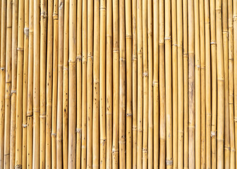 fence made of bamboo sticks