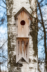 birdhouse of unprocessed wood on birch