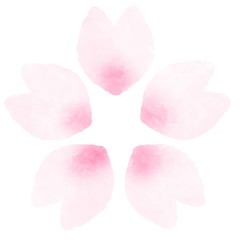 桜の花　花びら　水彩風イラスト素材