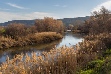 Rio Jarama al paso por Velilla de San Antonio
