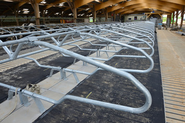 Construction d'un batiment agricole à ossature bois. Stabulation, logettes en acier zingué équipées de tapis et matelas