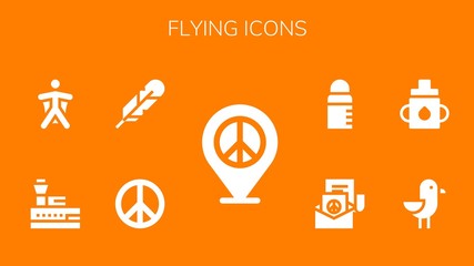 flying icon set