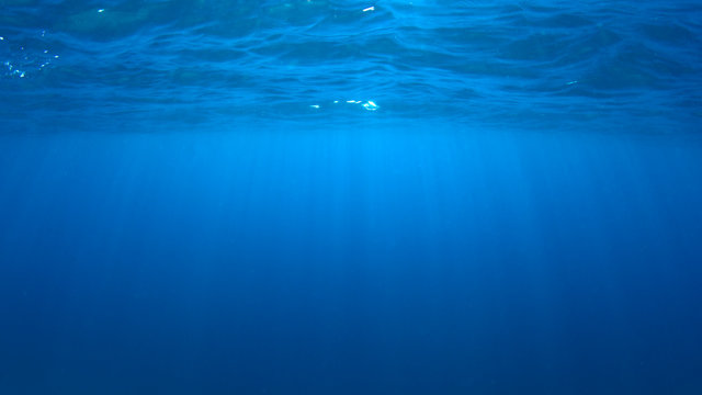 Underwater blue background photo of ocean surface and sunlight