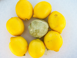 Healthy and rotten lemon fruits