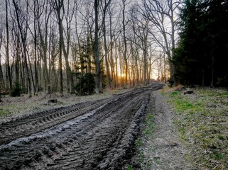 Sunset on a muddy forest road