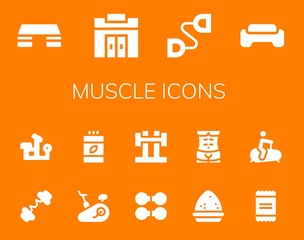 muscle icon set