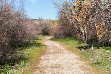 Sendero en los campos de Velilla de San Antonio