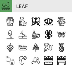 leaf icon set