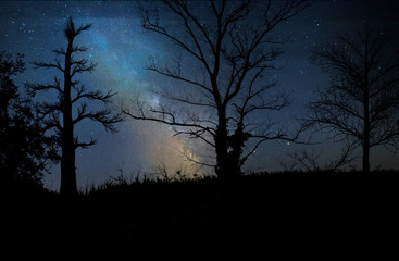 Milky Way shot in a mountainous area with the foreground silhouettes of trees