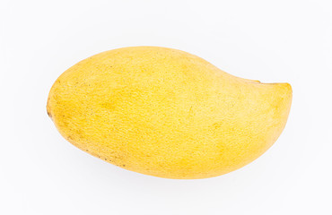 Yellow  mango  isolated white background