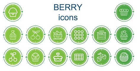 Editable 14 berry icons for web and mobile