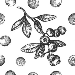 Vector  pattern with ink blueberry