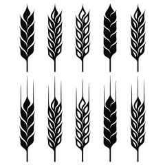 Wheat ear icon set