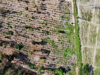 Aerial photography drone countryside agriculture and forest 