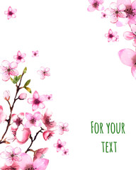 Watercolor illustration