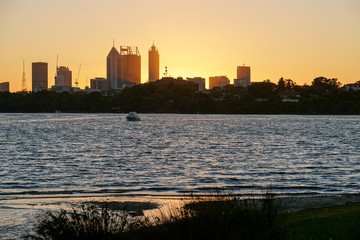 Fototapeta premium Afternoon by the Swan River