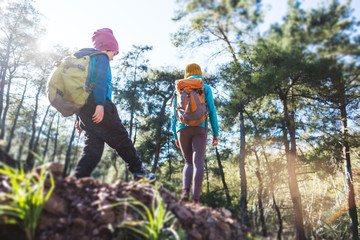 A woman walks with her son through the forest.