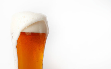 glass of beer on a white background