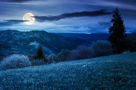 beautiful rural landscape in mountains at night. countryside scenery on an overcast weather in spring in full moon light