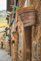 empty street with flower pots on wall in Valldemossa, Mallorca, Spain