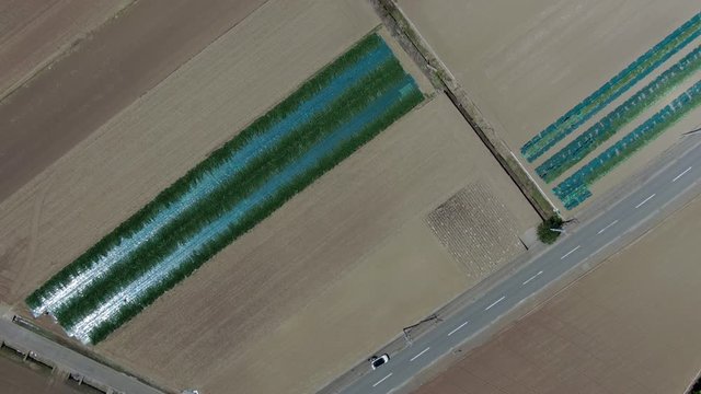 this is a drone footage of geometric patterns of road and farm in Japan