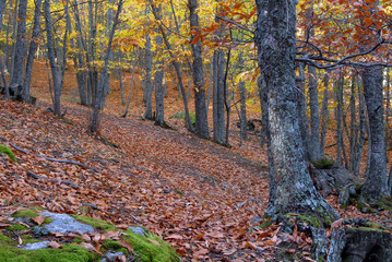 paisajes de otoño