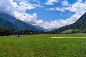 Fototapeta premium alpejska łąka w Alpach