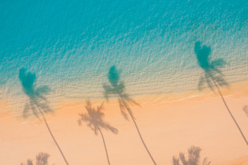 The shadow of the coconut tree leaves on the sand, sunset beach landscape, aerial view. Tropical island beach, aerial landscape, summer scene