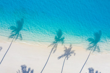 Aerial beach landscape. Minimalist beach view from drone or airplane, palm shadows in white sand...