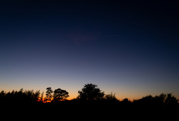 The sun has almost set, the orange glow gives good contrast to the dark blue sky. Trees are like silhouettes towards this background.