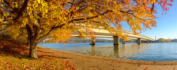 Canberra's Autumn Colours