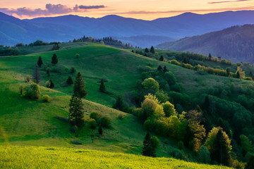 Obraz premium mountainous countryside in springtime at dusk. trees on the rolling hills. ridge in the distance. clouds on the sky. stunning rural landscape of carpathians