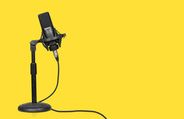 professional microphone on a table stand
