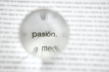 words in magnify glass