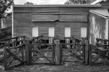 Colonial Sheep Shed