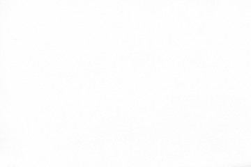 Cardboard white texture close-up. Light old paper background. Grunge concrete wall. Vintage blank wallpaper.