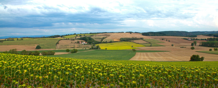 Paysage agricole en auvergne