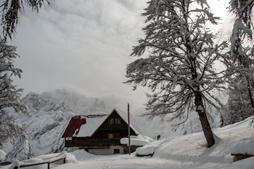 Trekking after a snowfall in the Julian Alps, Friuli-Venezia Giulia, Italy