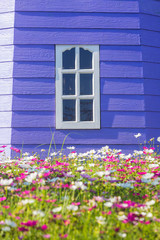 Fototapeta na wymiar window with flowers on the wall