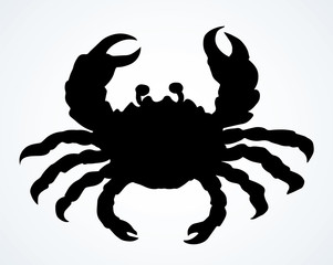 Big sea crab. Vector drawing