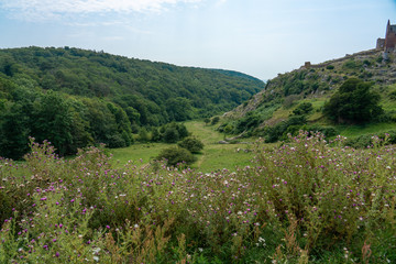 Hammershus, Bornholm / Denmark - July 29 2019: Deep valley with forrest and grassy hills in July